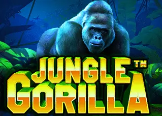 shuckywin Jungle Gorilla ทดลองเล่นฟรี
