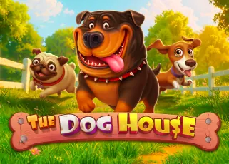 shuckywin The Dog House ทดลองเล่นฟรี